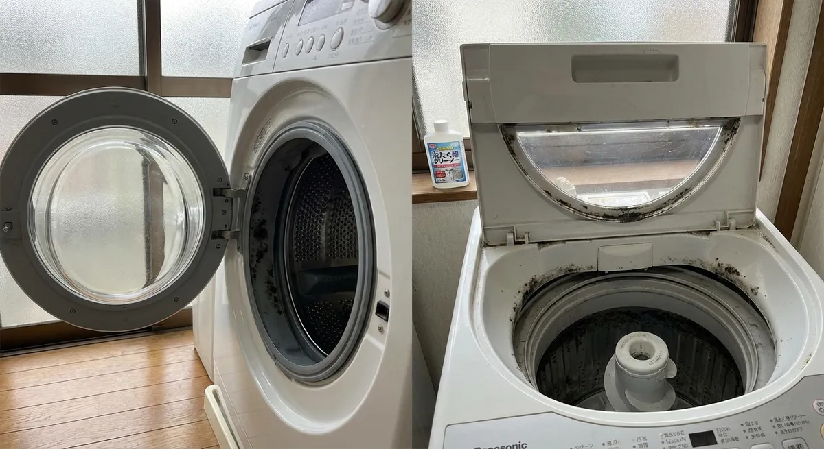 ドラム式と縦型洗濯機のカビ発生ポイントの違い